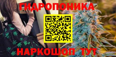 apvp Дубна