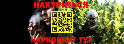 гашик Жуковский