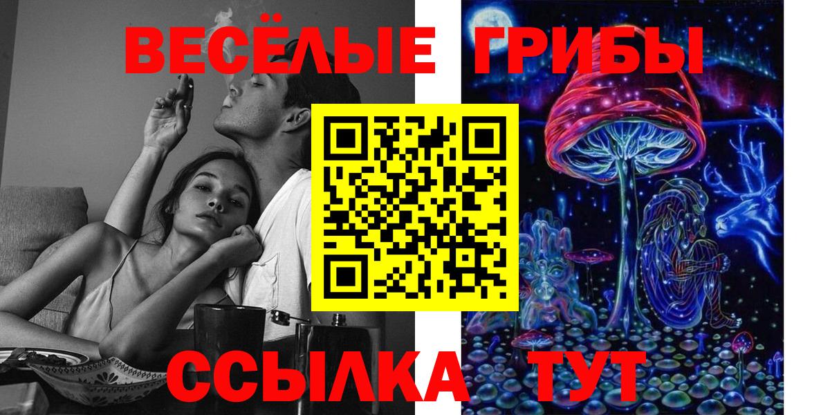 Псилоцибиновые грибы Psilocybe  Вход с VPN  Чита  Галлюциногенные грибы мухоморы 