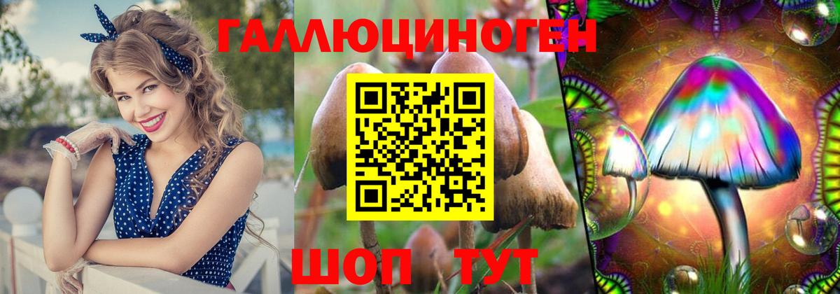 Псилоцибиновые грибы мицелий Чита